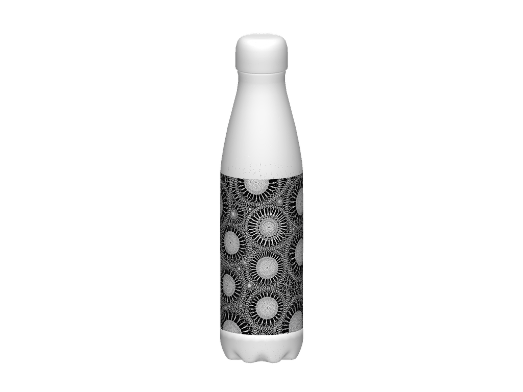 Stainless Steel Water Bottle