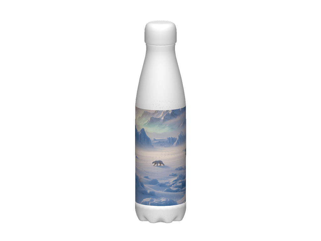 Stainless Steel Water Bottle