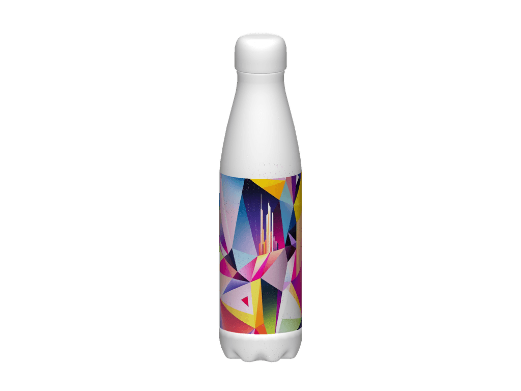 Stainless Steel Water Bottle