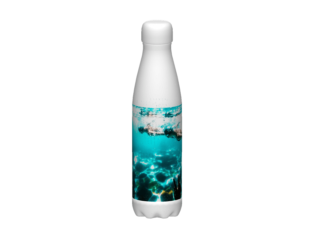 Stainless Steel Water Bottle