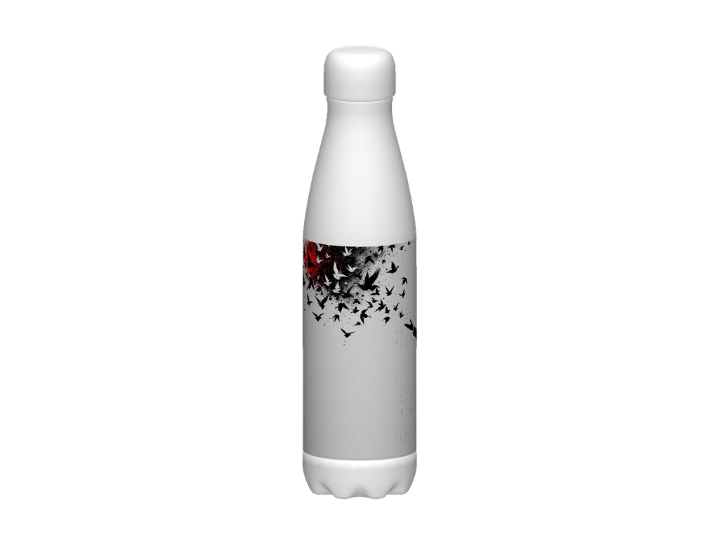 Stainless Steel Water Bottle