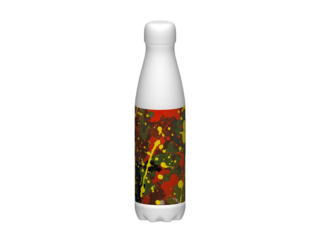 Stainless Steel Water Bottle