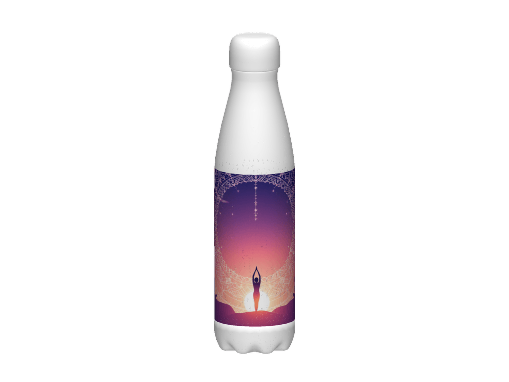 Stainless Steel Water Bottle