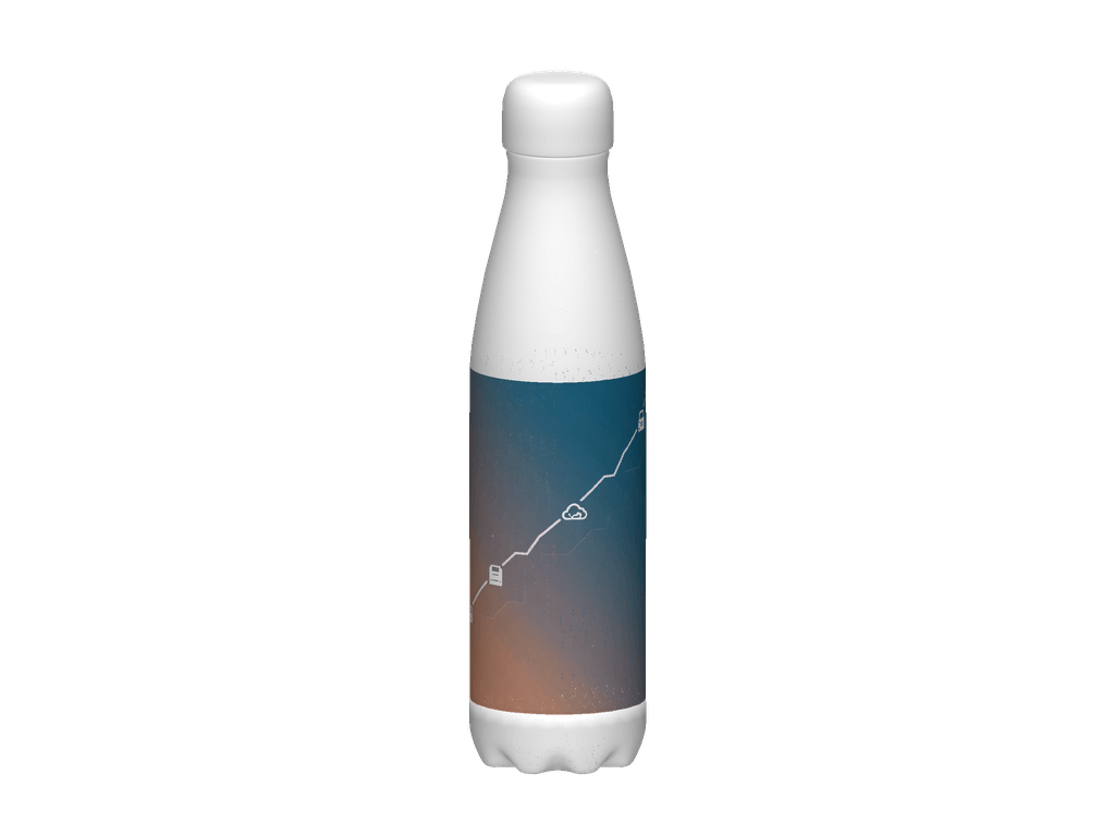 Stainless Steel Water Bottle