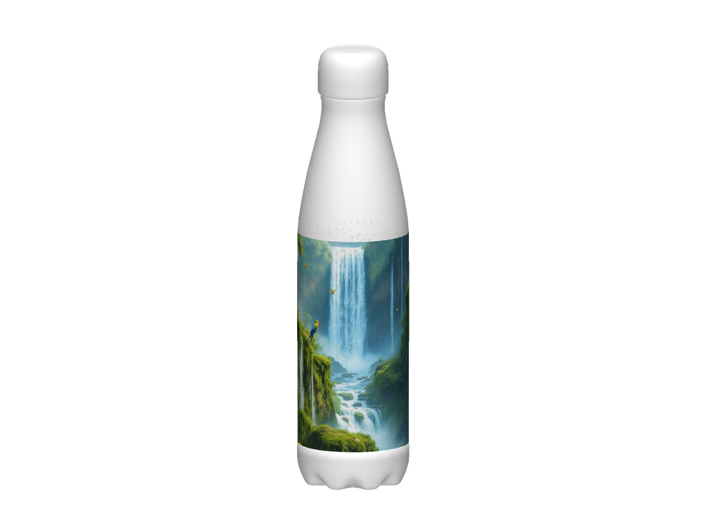 Stainless Steel Water Bottle