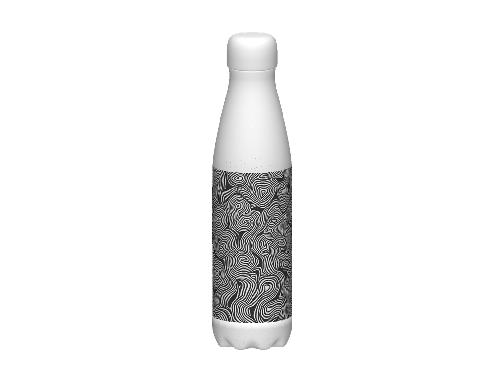 Stainless Steel Water Bottle