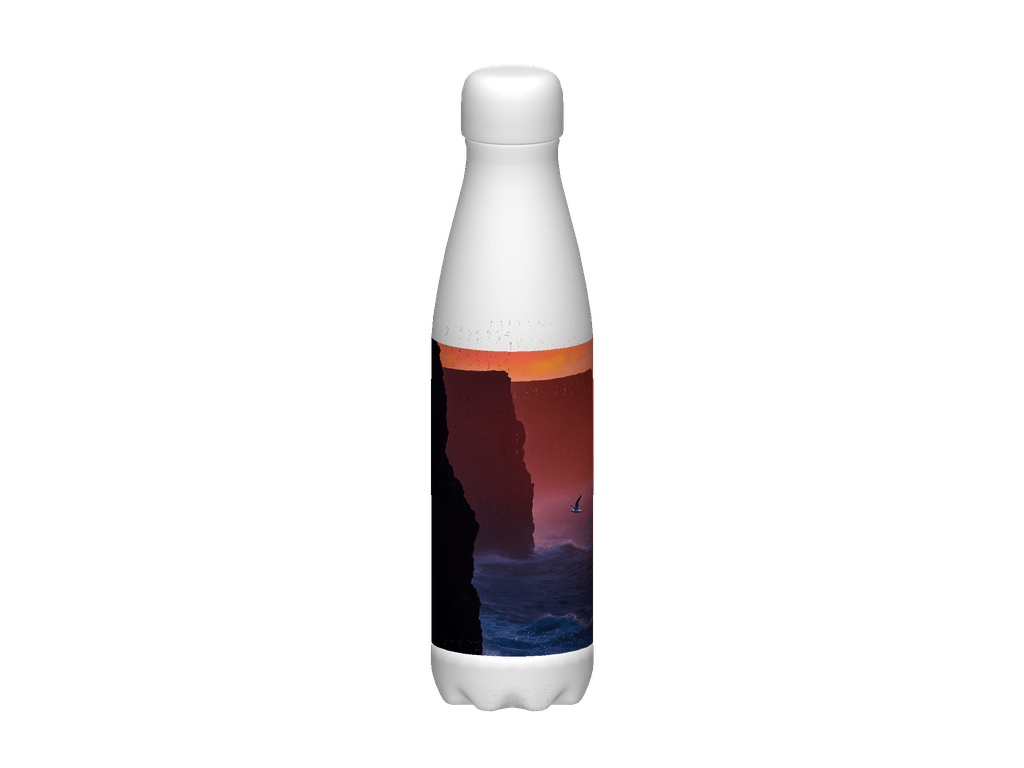 Stainless Steel Water Bottle