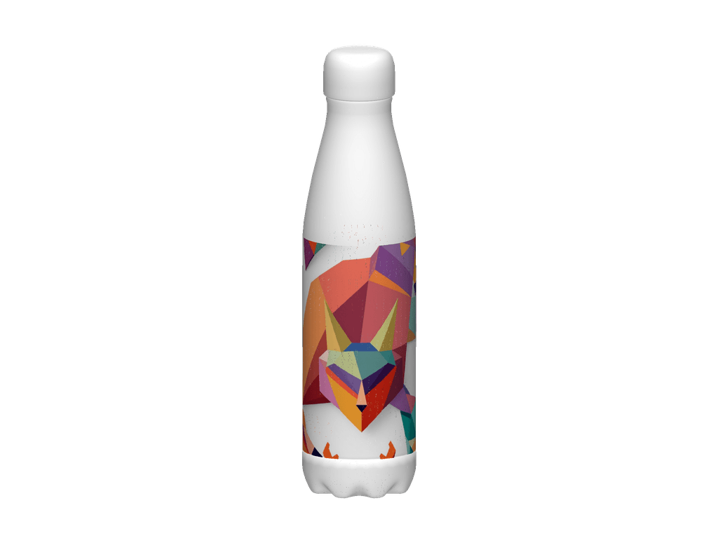 Stainless Steel Water Bottle