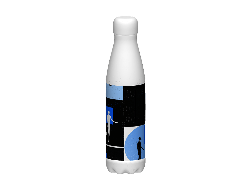 Stainless Steel Water Bottle