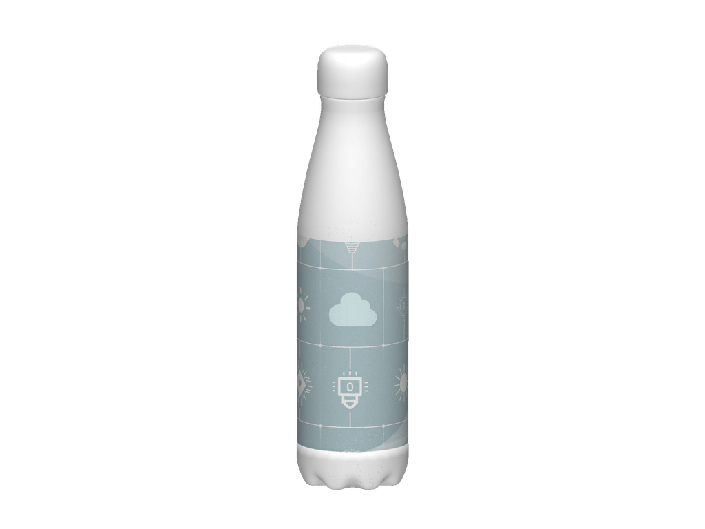 Stainless Steel Water Bottle