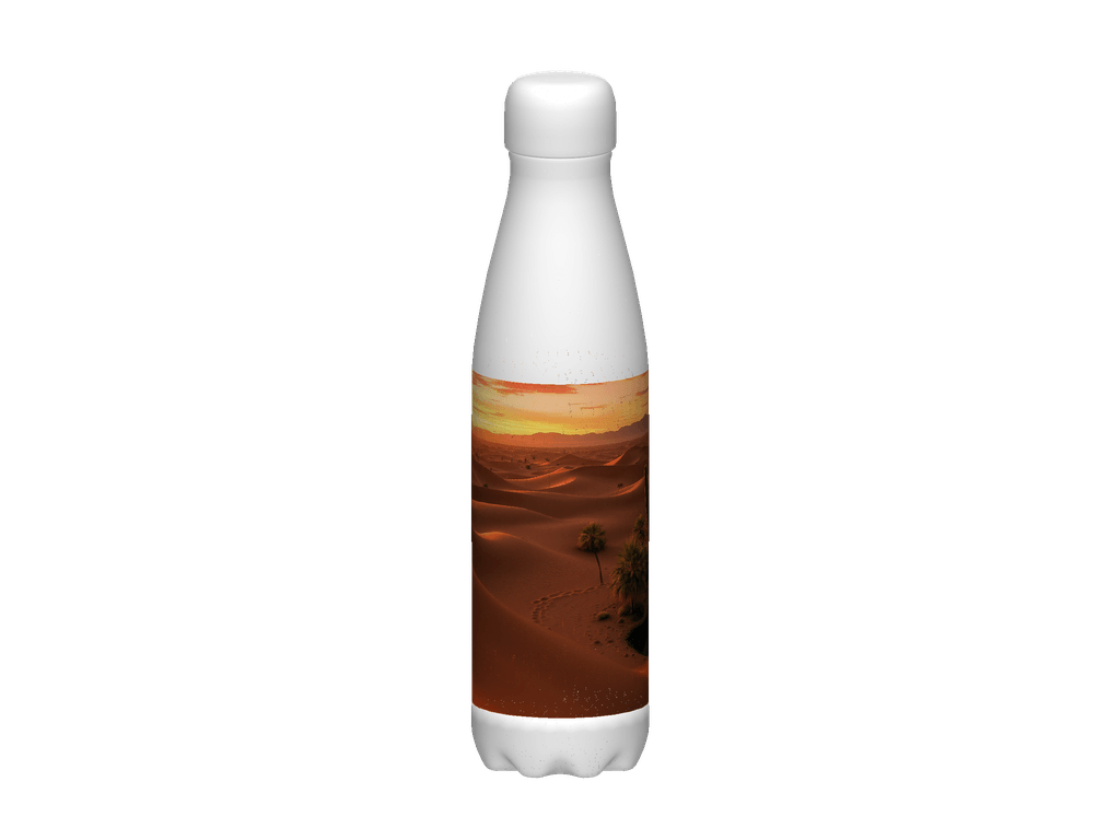 Stainless Steel Water Bottle