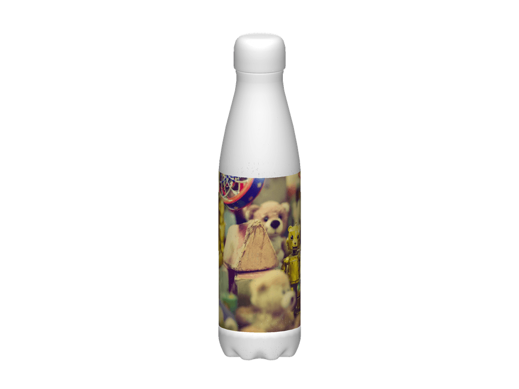 Stainless Steel Water Bottle