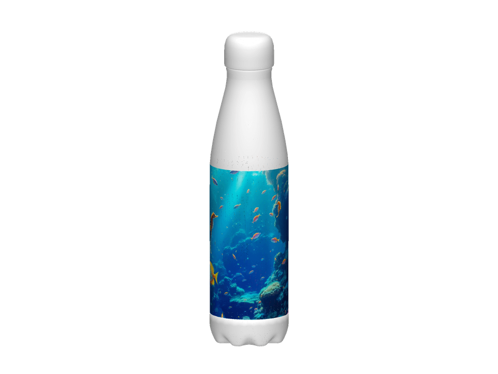 Stainless Steel Water Bottle