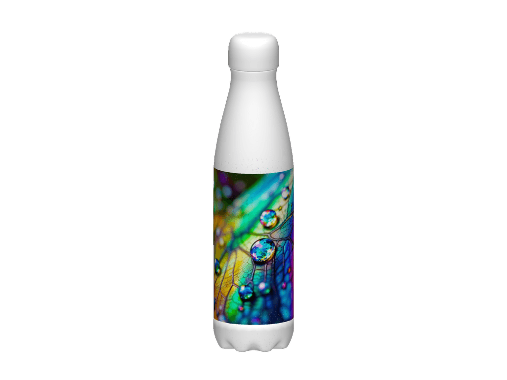 Stainless Steel Water Bottle