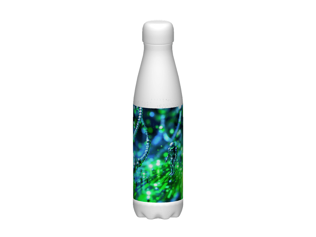 Stainless Steel Water Bottle