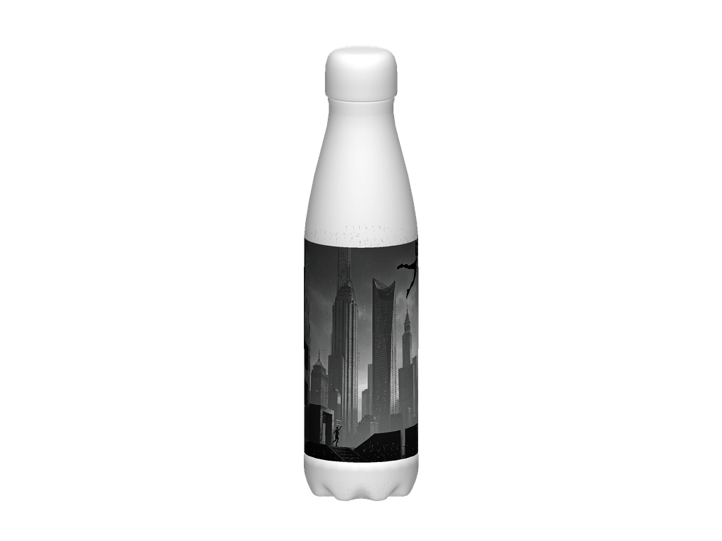 Stainless Steel Water Bottle