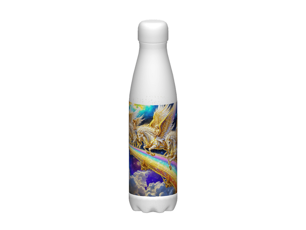 Stainless Steel Water Bottle