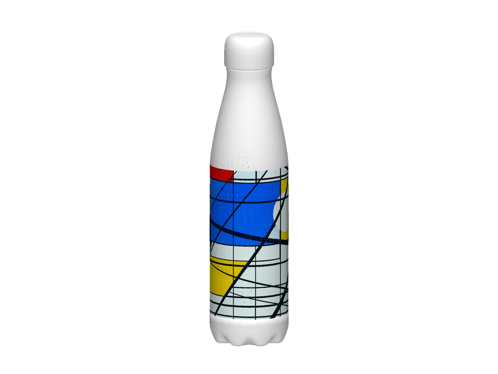 Stainless Steel Water Bottle