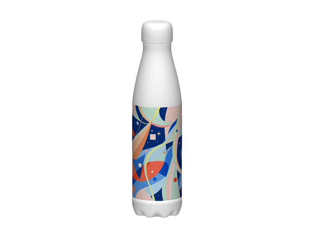 Stainless Steel Water Bottle