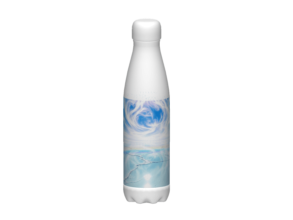 Stainless Steel Water Bottle