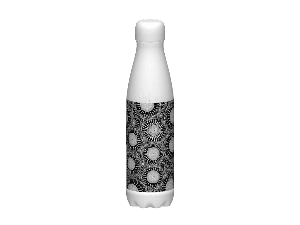 Stainless Steel Water Bottle
