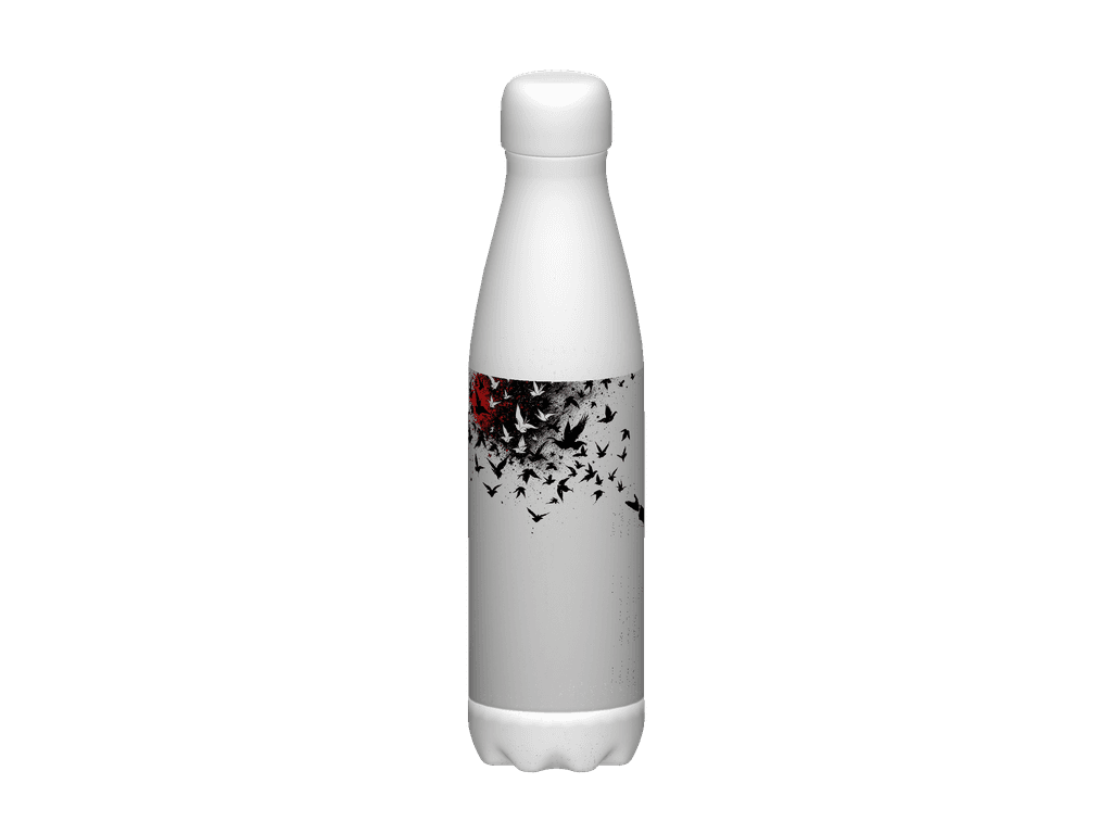 Stainless Steel Water Bottle
