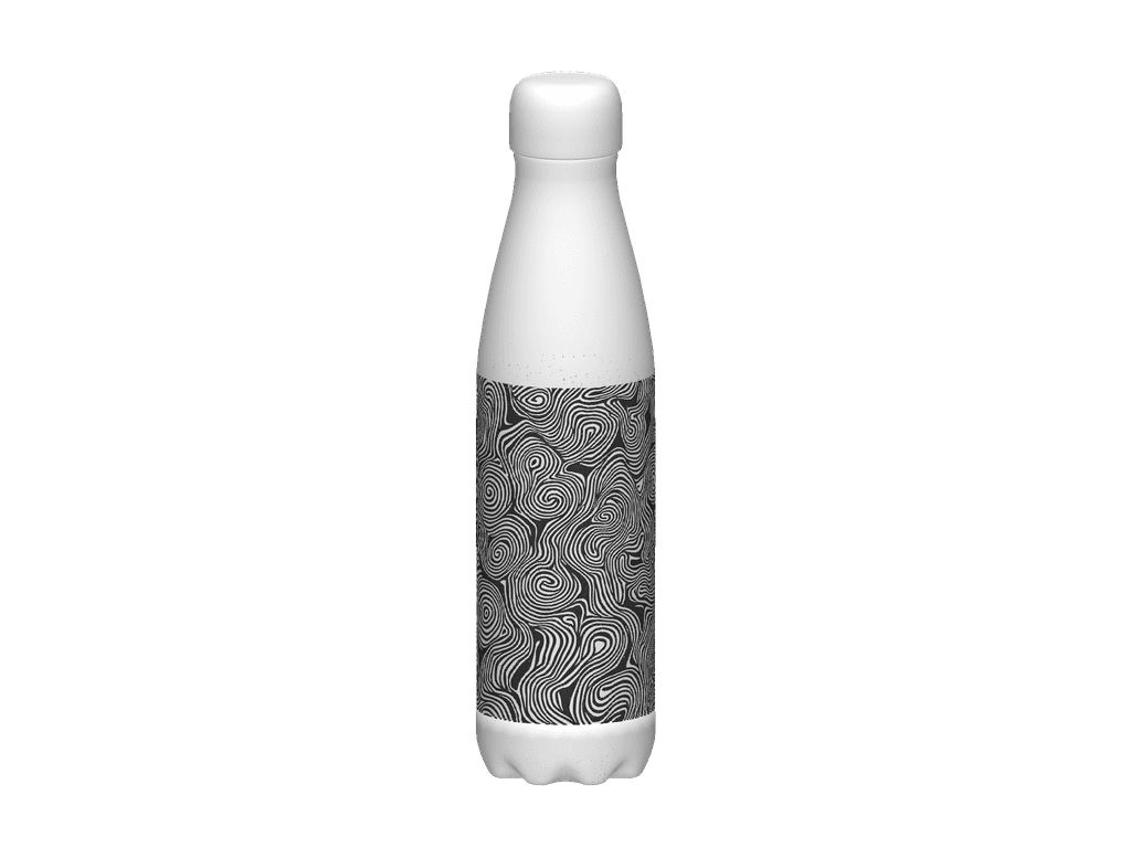 Stainless Steel Water Bottle