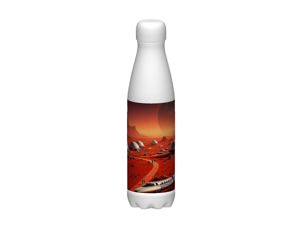 Stainless Steel Water Bottle